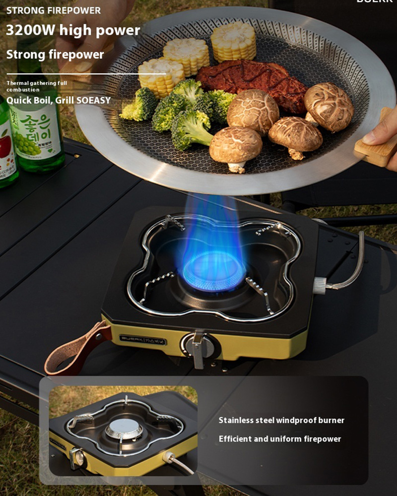 Buerk Desktop Outdoor Gas Stov - Camping Cooking Propane 评论和价格